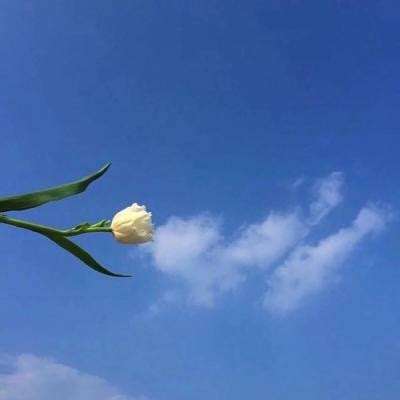mc命令助手最新版下载